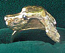 14K Gold Gordon Setter Ring with Sapphire Eye - Wrap 