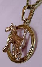 14K Pink Gold Irish Terrier in Yellow Gold Oval-Rear Side View