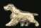 14K Gold Dog Jewelry Field Spaniel Small Trotting Full Body for Necklace or Brooch