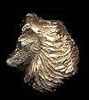 14K Gold Shetland Sheepdog Small Head with Sapphire Eye 
